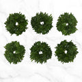 Wedding Variety Collection - 6 Piece Candle Rings