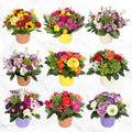 Mini Floral Centerpieces, 9-Count