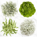 100-Stem White and Green Fillers