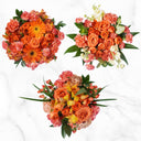 Mountain Bouquet Event Collection, 10-Count